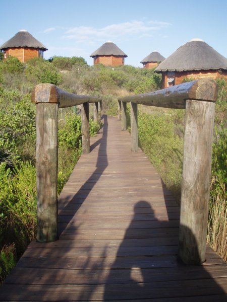 KeHa_in_South_Africa - 206